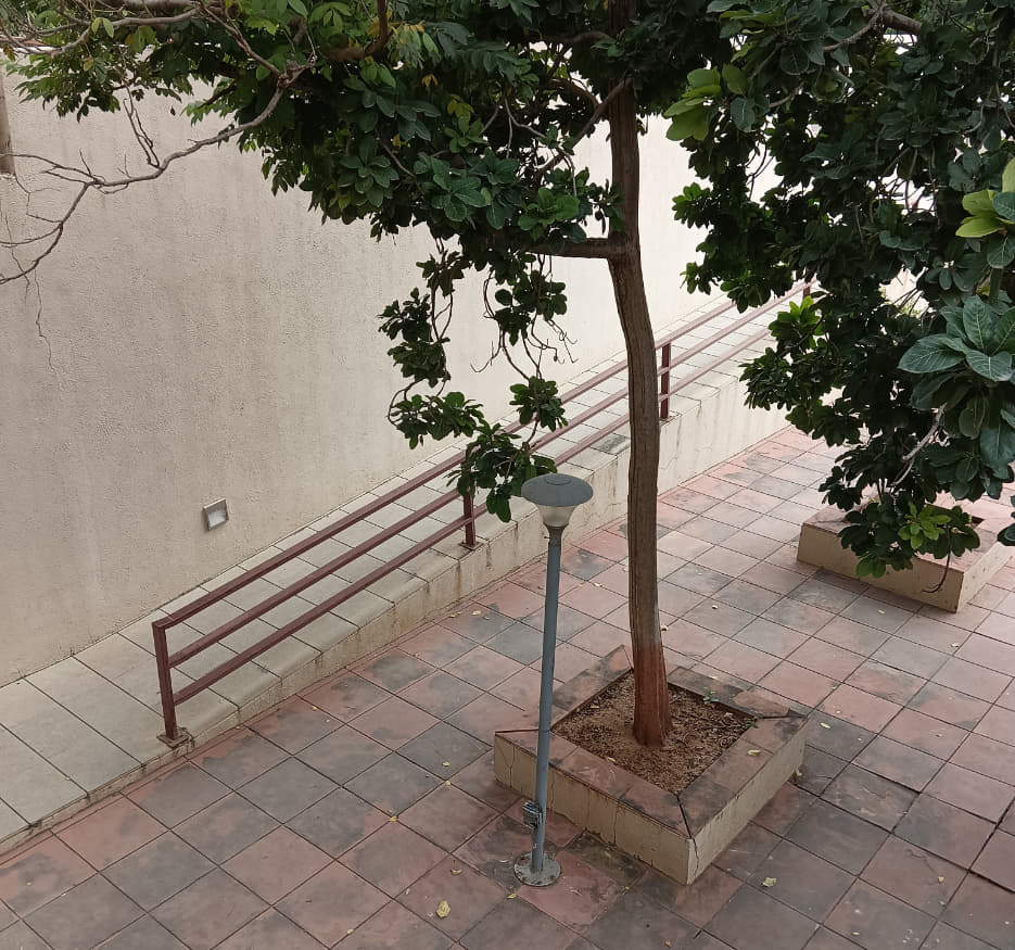 School of Management PDEU PDEU Campus photo 13